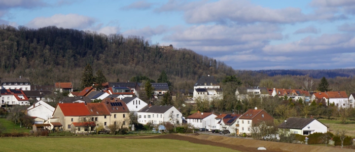 Blick über die Grosswies zur Teufelsburg