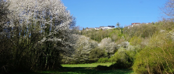 3 Blick zum oberen Kirchenweg