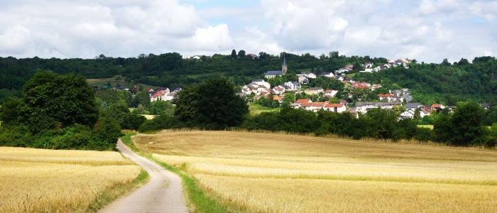 4 Getreidefelder am Beruser Weg