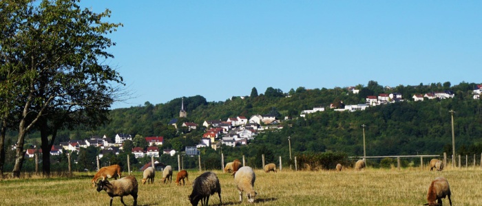 3 Auf dem Neuhof