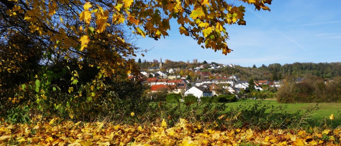 4 Blick über die Grosswies