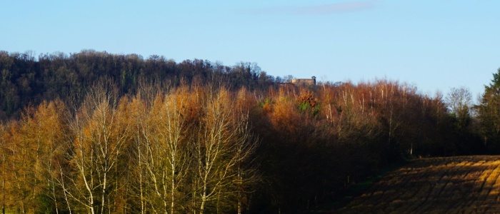 3 Über Baum und Wipfel