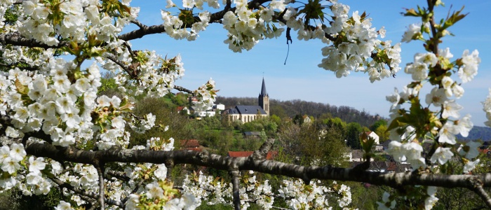 1 Frühling auf der Stai