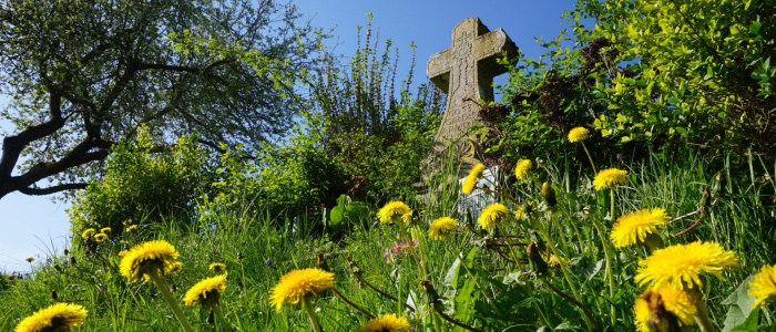 5 Frühling am Magots-Kreuz