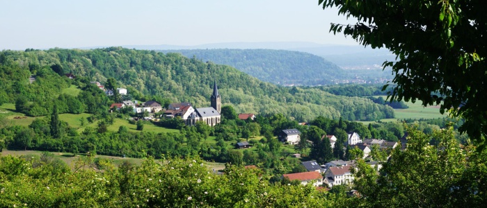 Blick vom Sauberg ins Tal